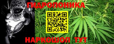 стафф Бузулук