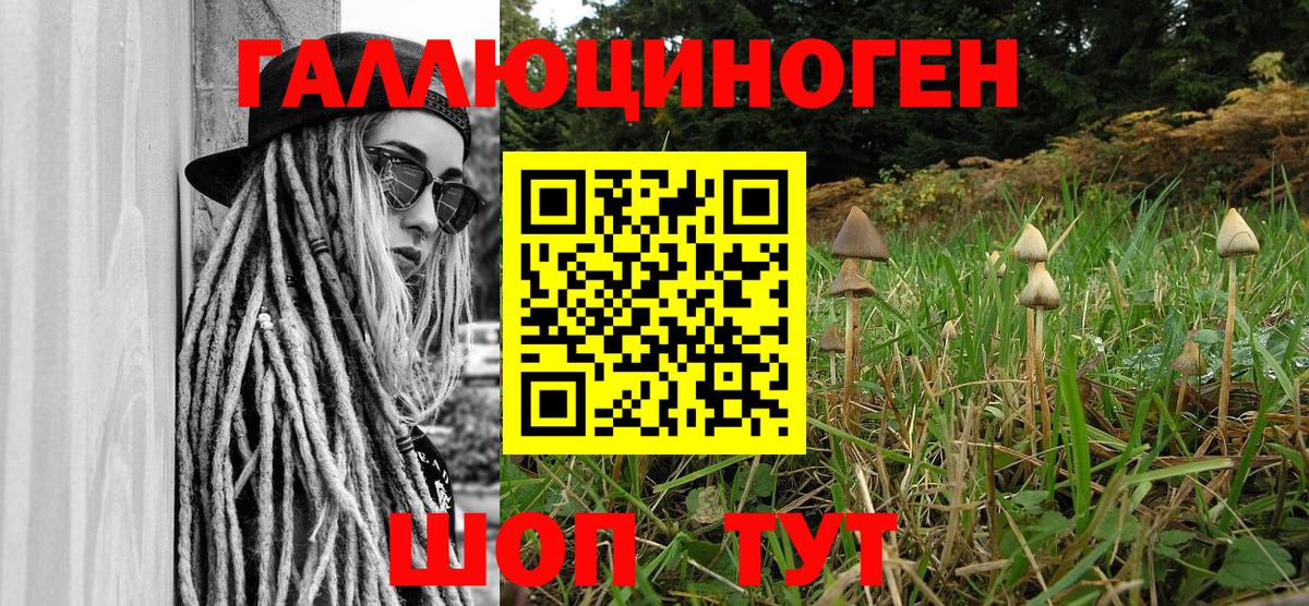 Галлюциногенные грибы мухоморы Тверь