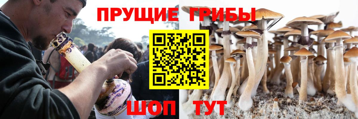 Тверь  Галлюциногенные грибы GOLDEN TEACHER  Вход с VPN 